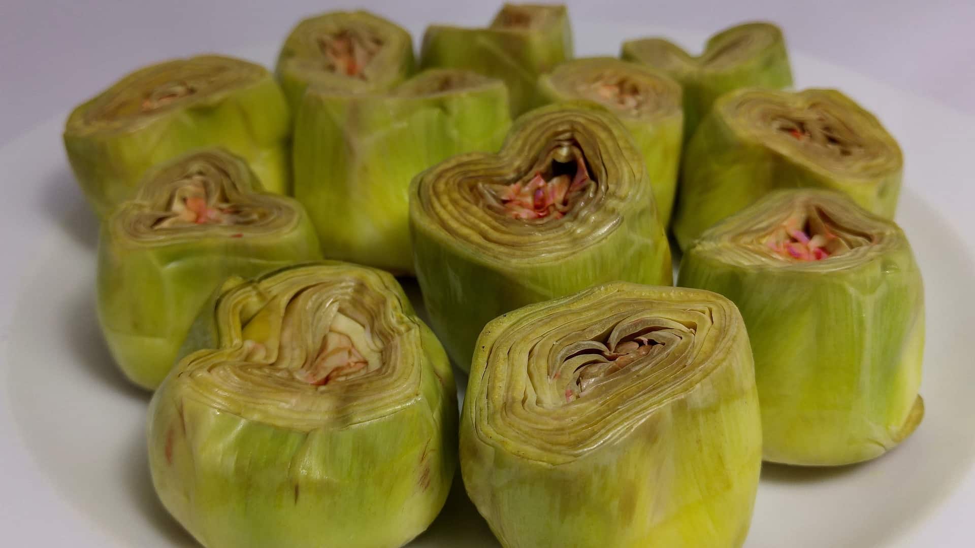 artischocken aus der dose salat