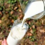 Freeze oat milk