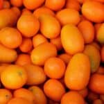 Kumquats einfrieren