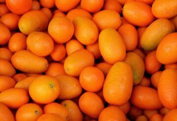 Kumquats einfrieren