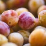 Mirabellen einfrieren